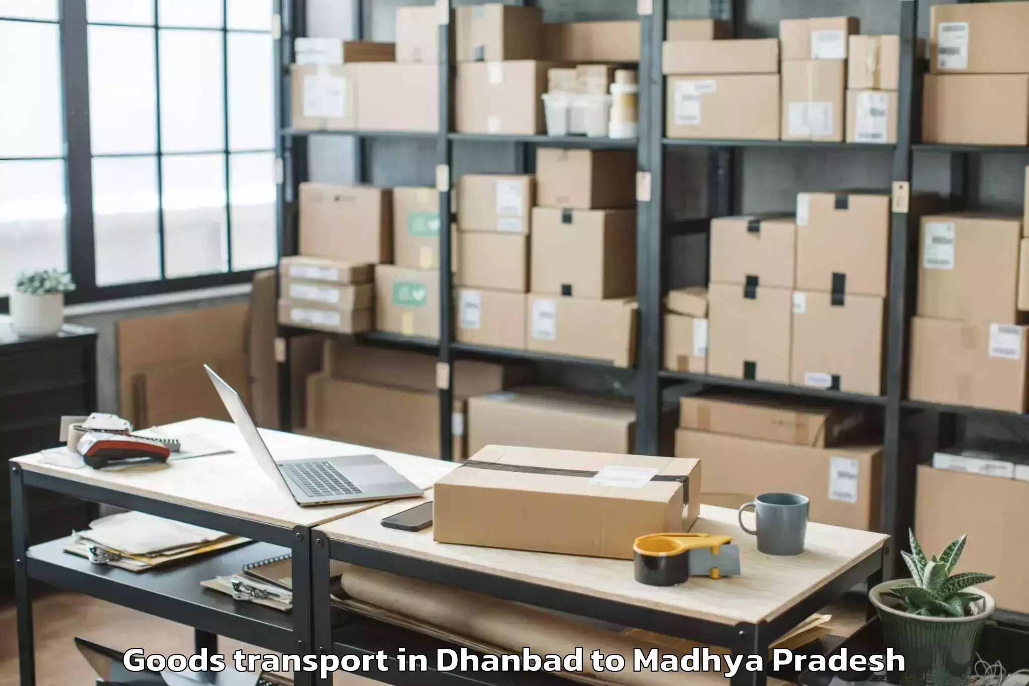 Reliable Dhanbad to Pichhore Goods Transport